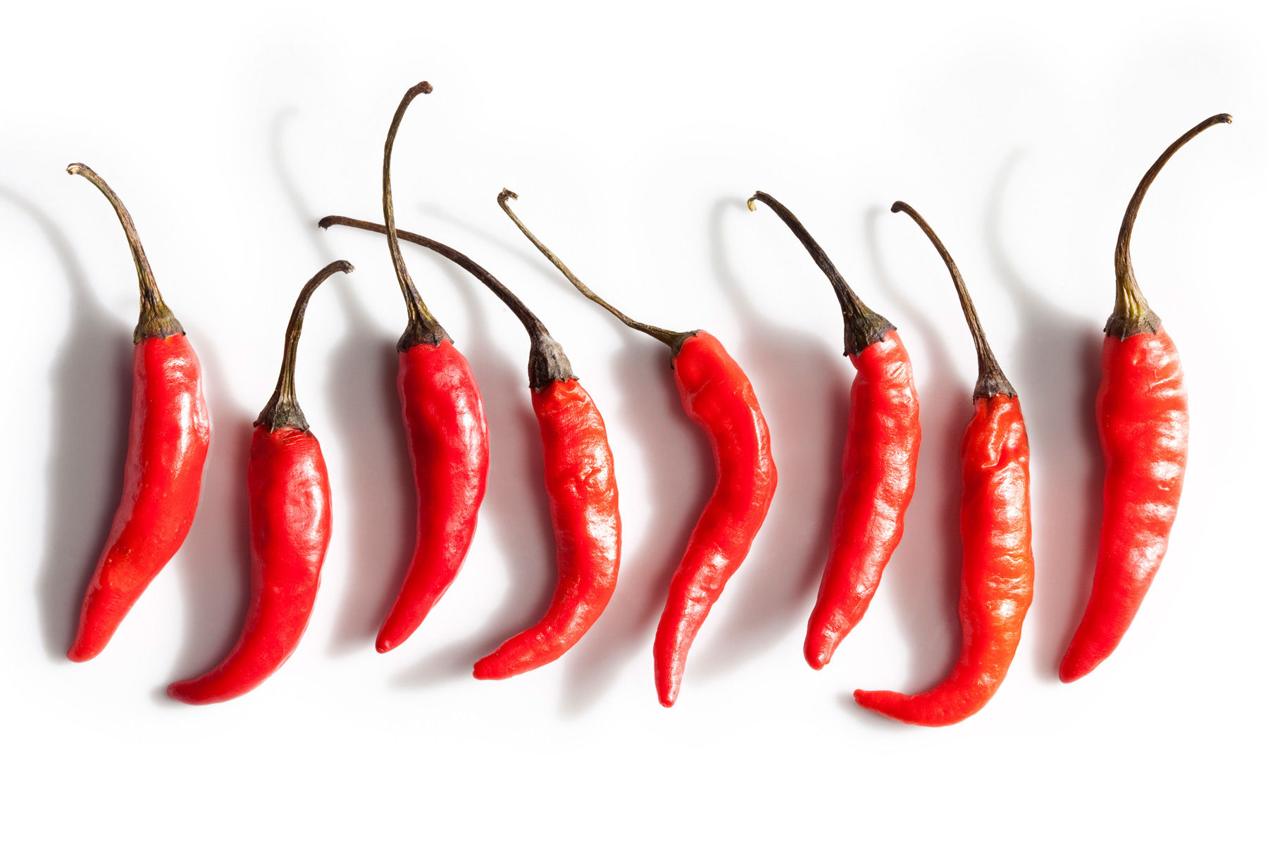 Irving penn, Still Life and Chili