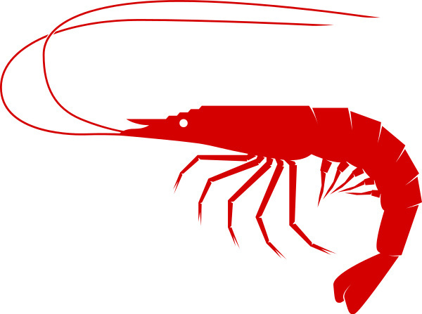 Shrimp And Fish Clipart