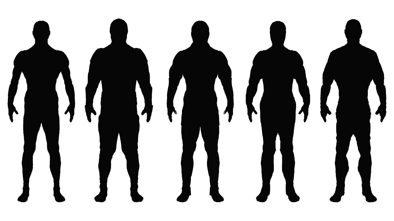 Clipart human body profile