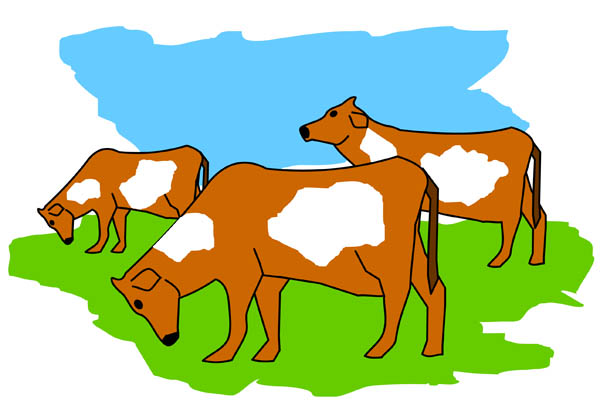 Cow with grass clipart