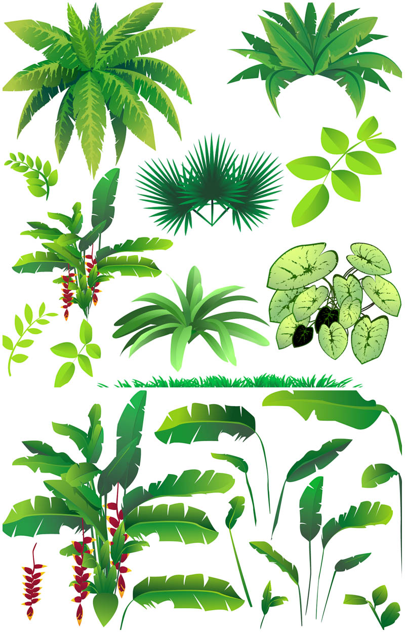 Jungle 0 images about clipart on clip art free - Clipartix