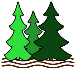 Pine Tree Clipart - Images, Illustrations, Photos