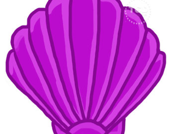 Purple seashell clipart