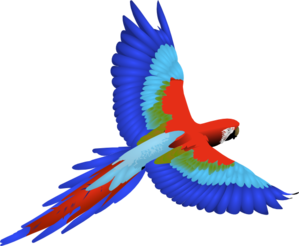 parrot-md.png