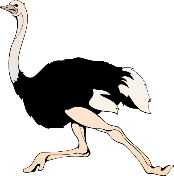 Cartoon Ostrich - ClipArt Best