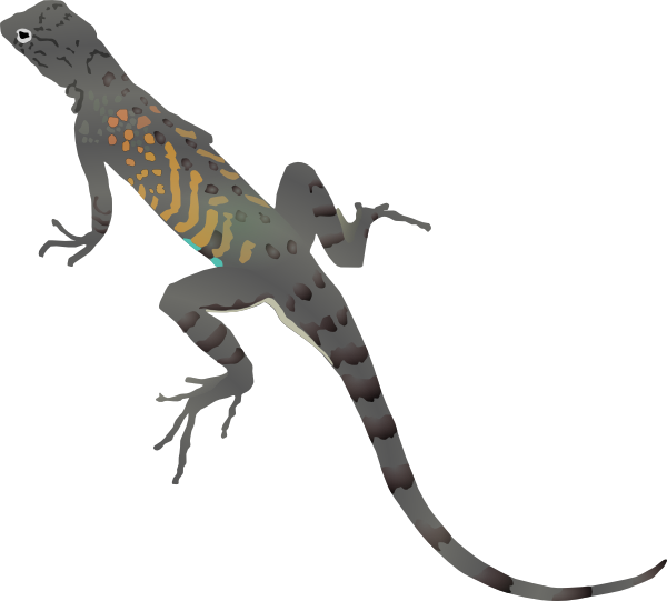 Az-lizard Clip Art - vector clip art online, royalty ...