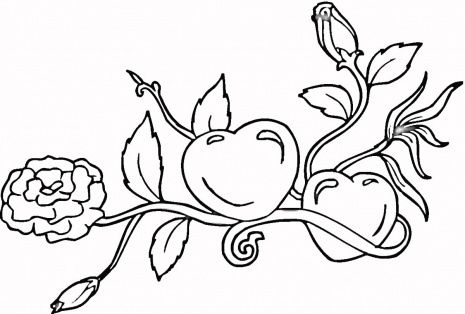 Valentines Day Roses Coloring Pages | Happy Valentines Day 2014