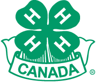 4-H Graphics