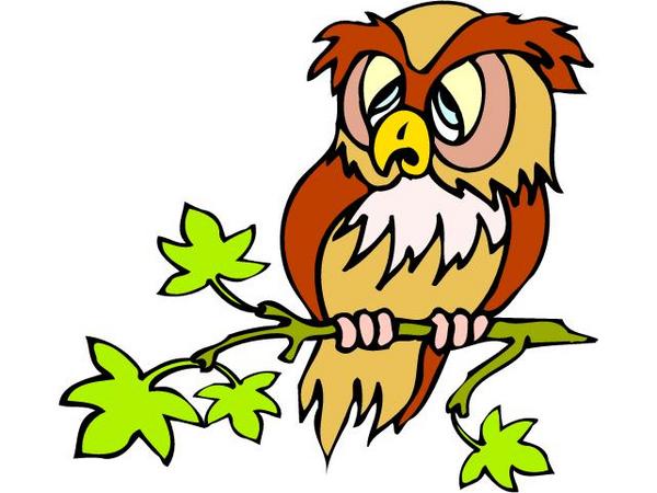 Owl Clipart - The Owl Pages