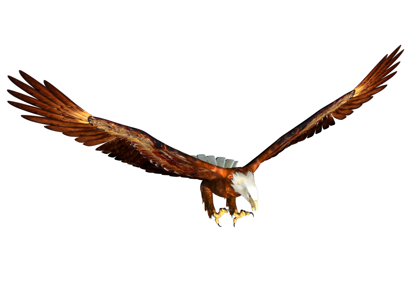 SOARing Eagles - ClipArt Best