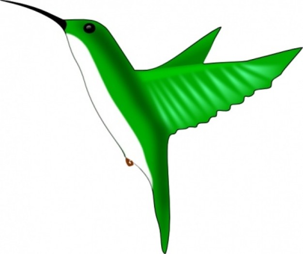 hummingbird in green | Download free Vector