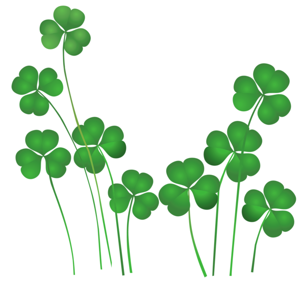 Shamrock clip art free border