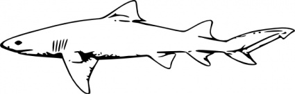 Shark Fin Outline - Free Clipart Images