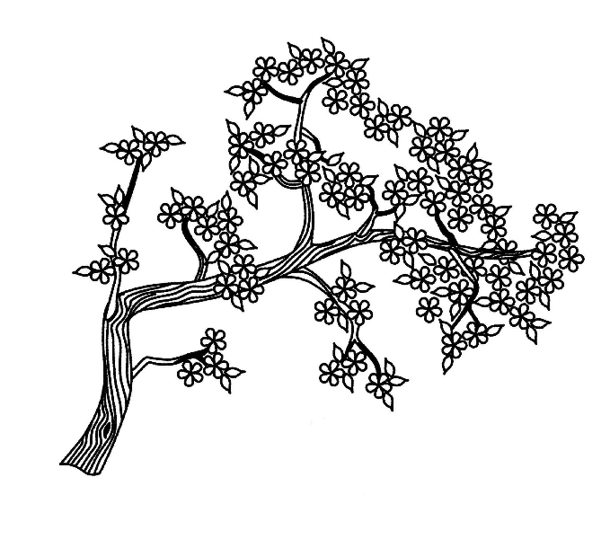 cherry tree branch coloring page