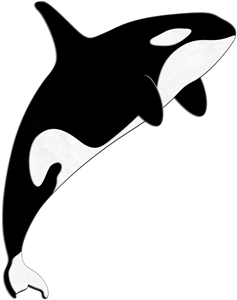 Shape, In love and Killer whales