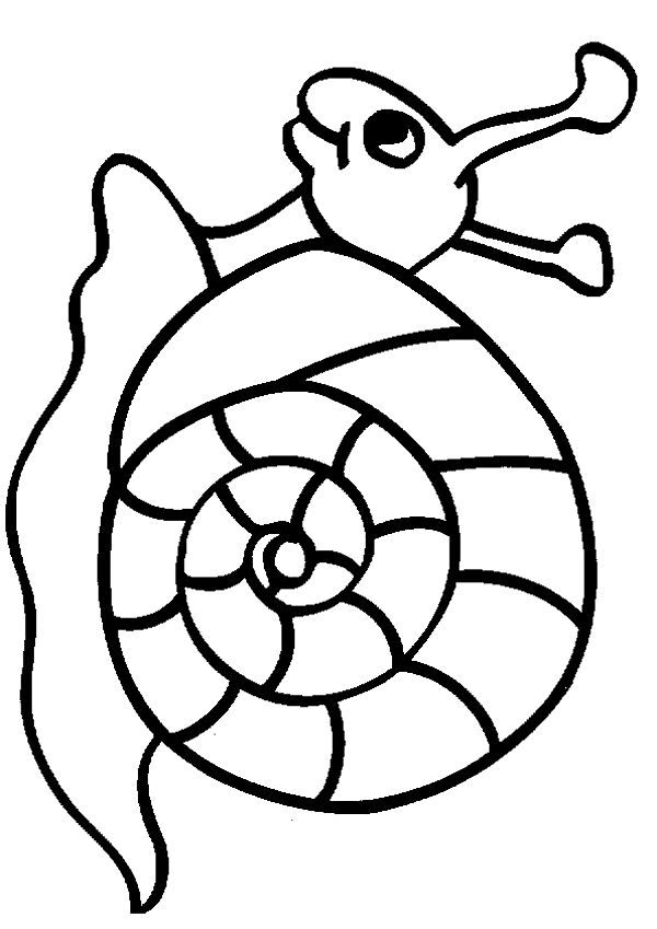 Drawings Of Snails - ClipArt Best