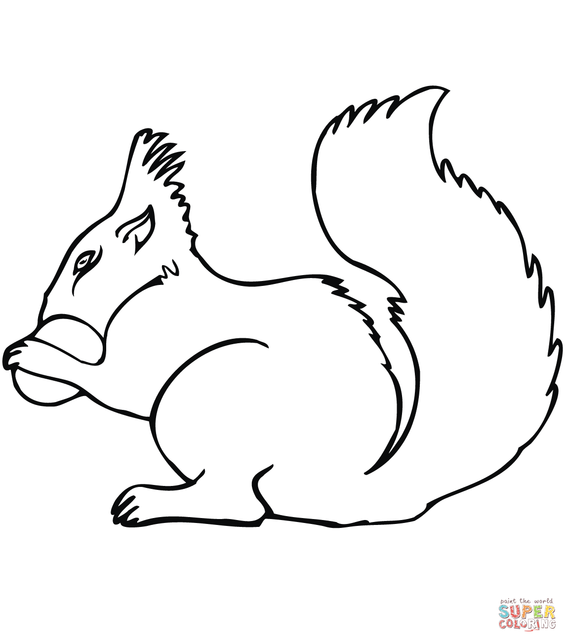 Cartoon Squirrel with Acorn coloring page | Free Printable ...