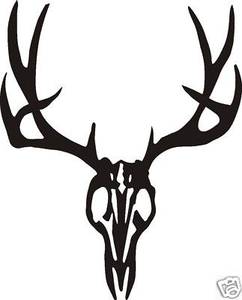 Large TYPICAL MULE DEER SKULL Decal wall or car window