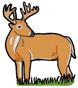 Deer Clip Art - Tumundografico