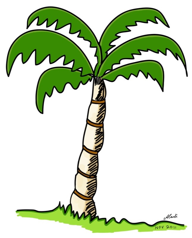 Palm Trees Drawings