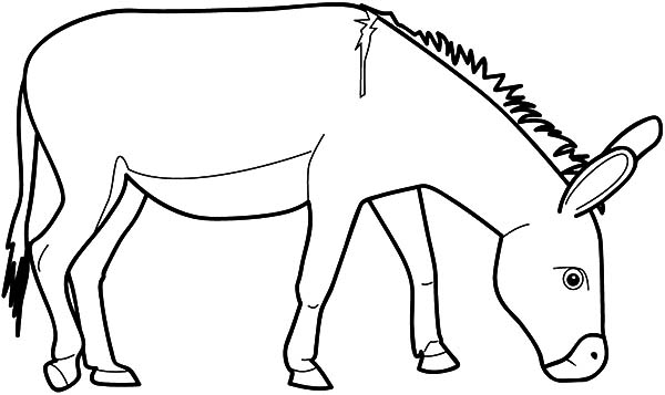 Donkey Eating Grass Coloring Pages - Free & Printable Coloring ...