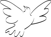 Flying Dove Sketch | Dove Clipart