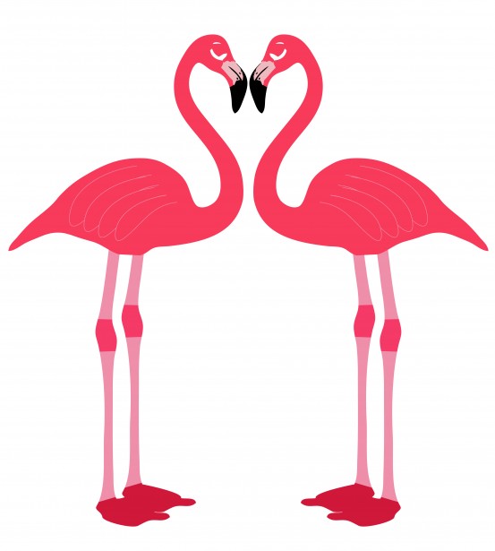 Flamingo Heart Clipart