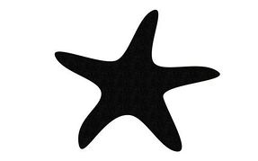 Starfish black and white clipart image #9431