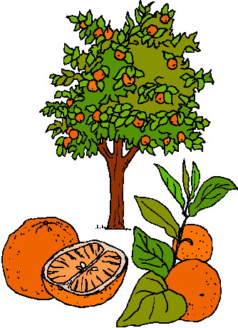 Trees Clipart | Free Download Clip Art | Free Clip Art | on ...