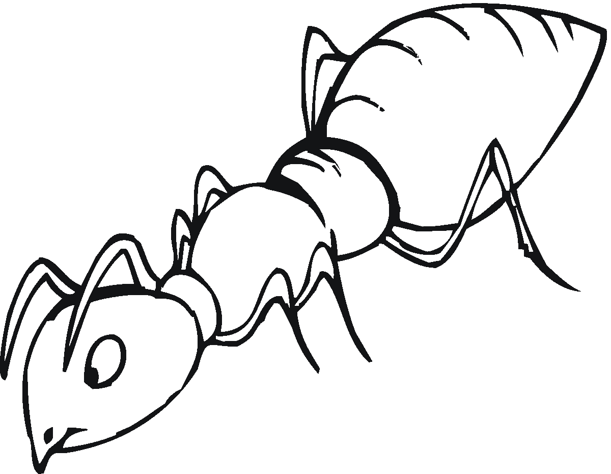 Pictures Of Ants For Kids | Free Download Clip Art | Free Clip Art ...