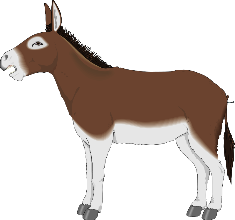 Clip art donkey