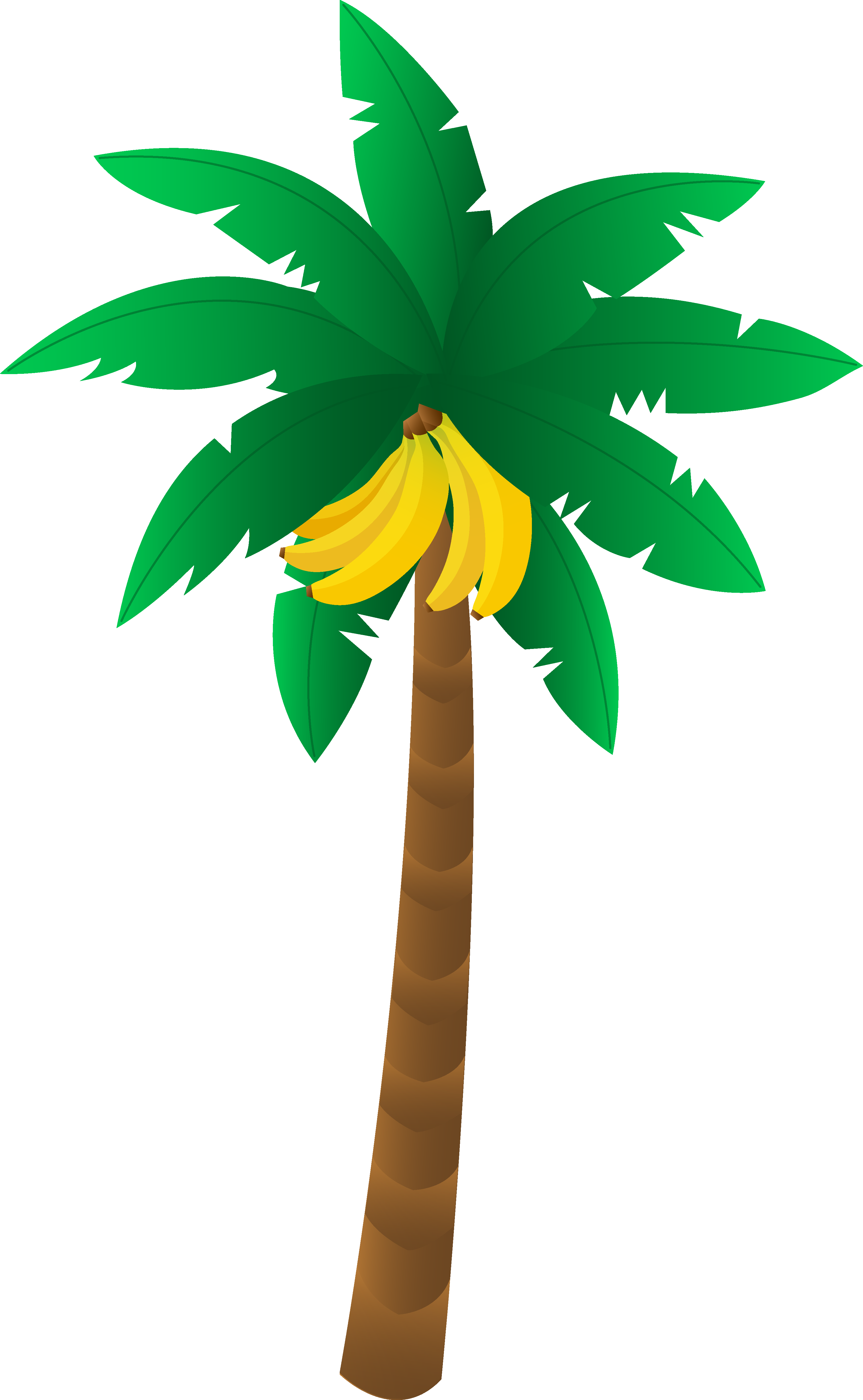 Banana Tree Image | Free Download Clip Art | Free Clip Art | on ...