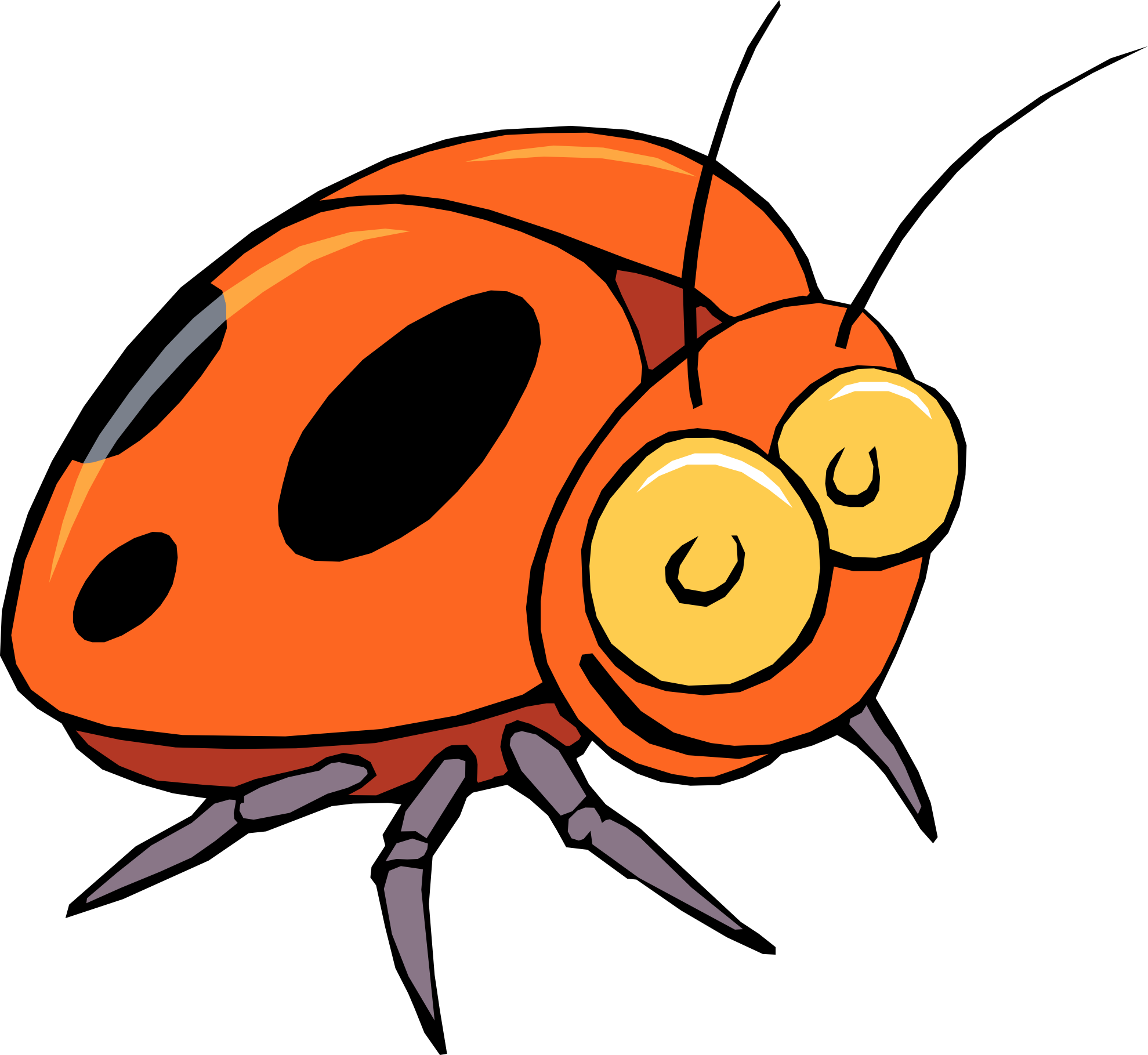 Insect Clipart