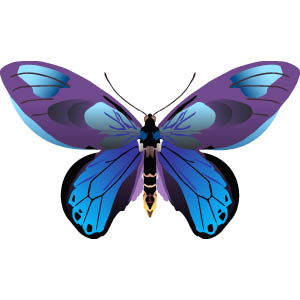 Butterfly images free clip art