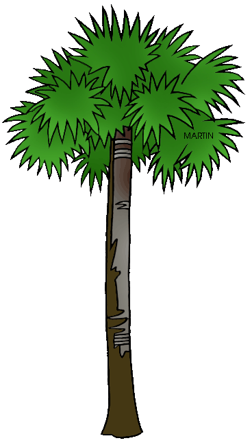 Palmetto Clipart | Free Download Clip Art | Free Clip Art | on ...