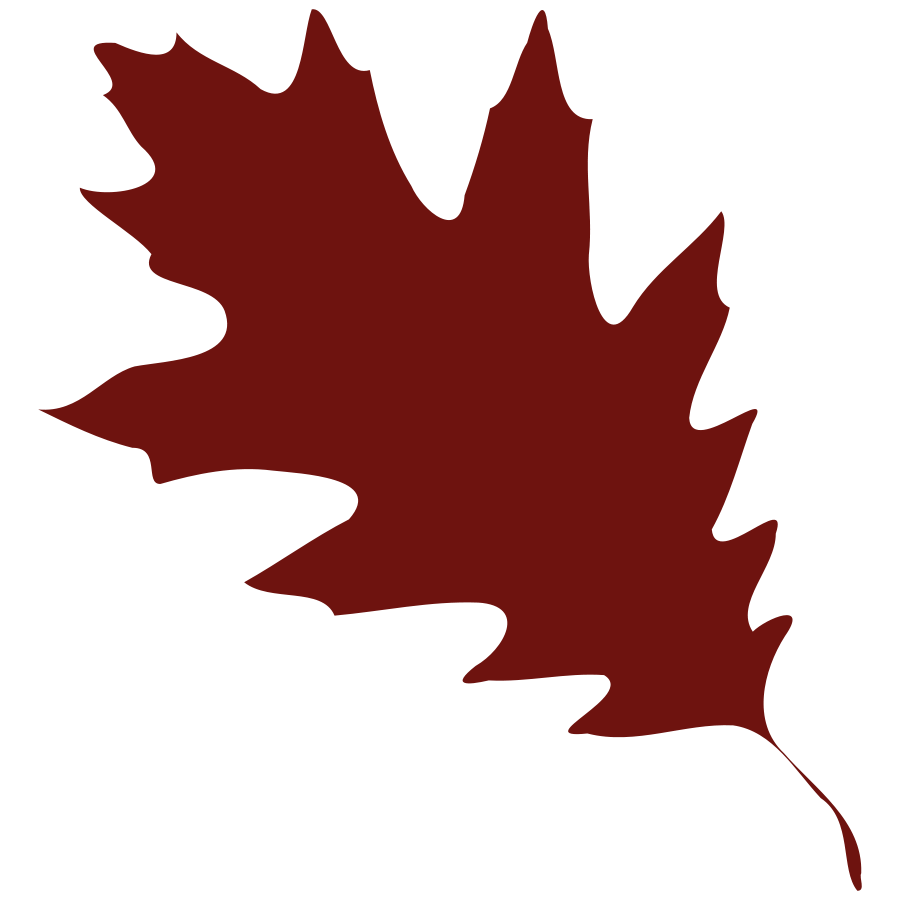 Best Maple Leaf Clip Art #21163 - Clipartion.com