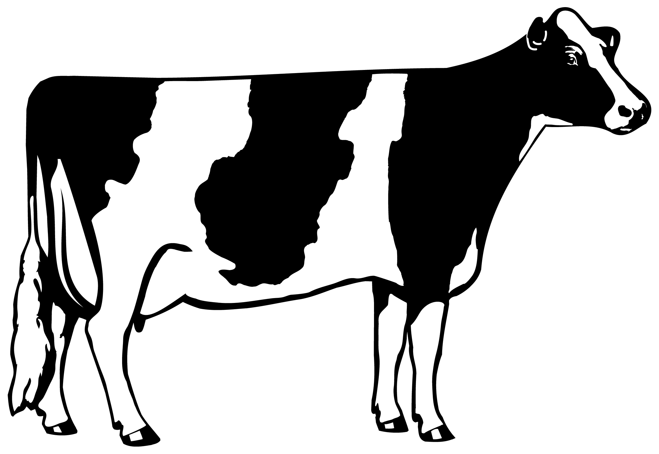 Cow Clip Art Outline - Free Clipart Images