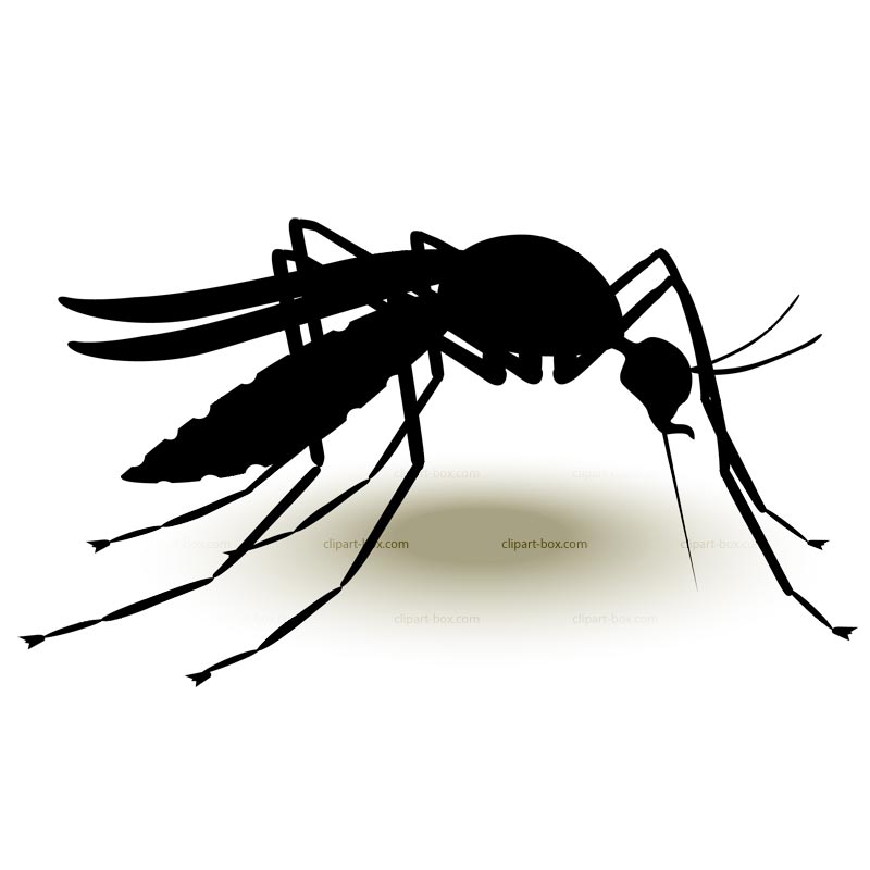 Cartoon Mosquito - ClipArt Best