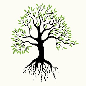 Big Tree with Roots Clip Art – Clipart Free Download