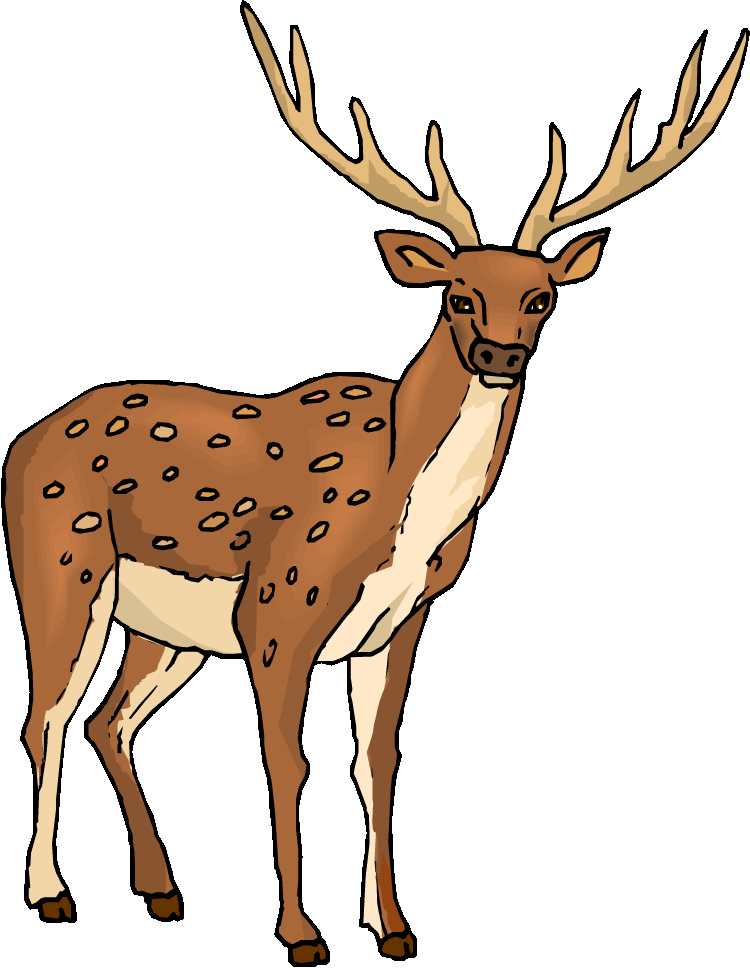 Deer antelope clip art - dbclipart.com