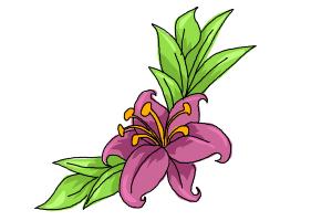 Carnation Flower Tattoos - ClipArt Best