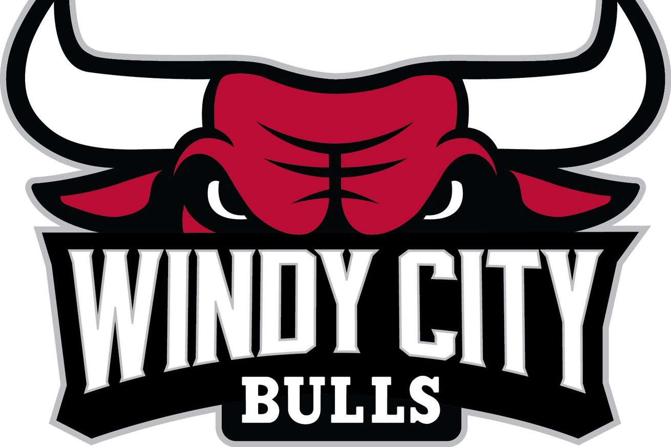 Bulls Release New D-League Team Name, Logo - Blog a Bull