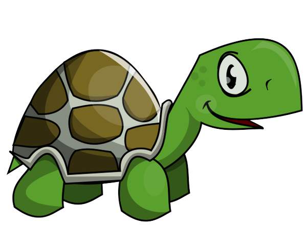 Clipart turtle pictures