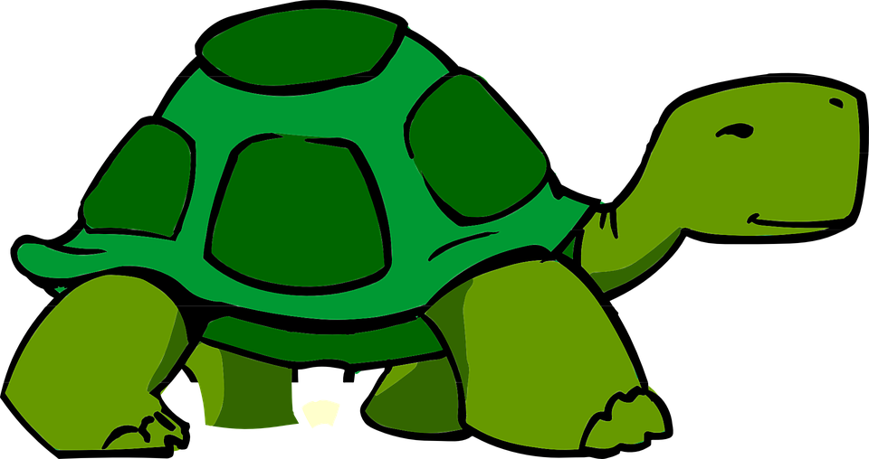 How To Draw A Cartoon Tortoise