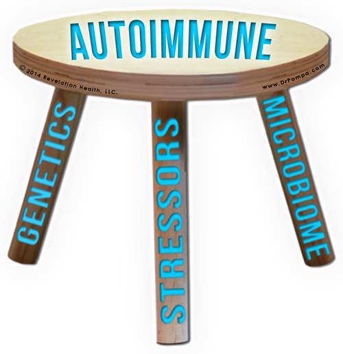 The Autoimmune Answer: As simple as a “Three-Legged Stool” - Dr. Pompa