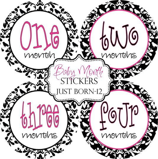 Black White Pink Damask Girl Baby Month Sticker by PreppyChick