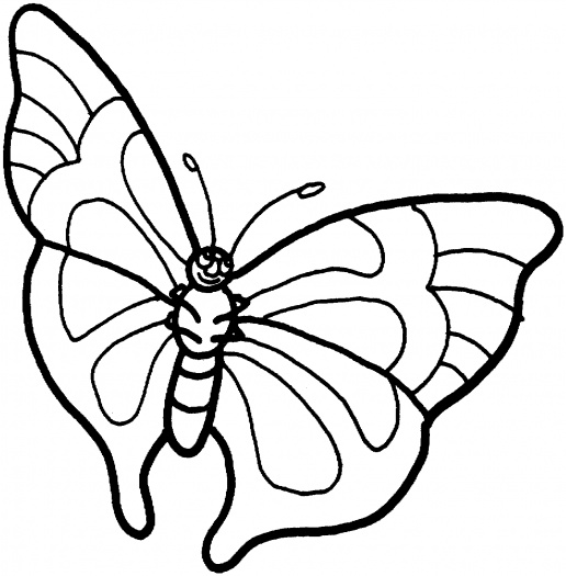 Butterfly coloring pictures | Super Coloring | - Part 2