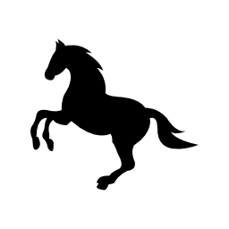 Horse icon #26449 - Free Icons and PNG Backgrounds