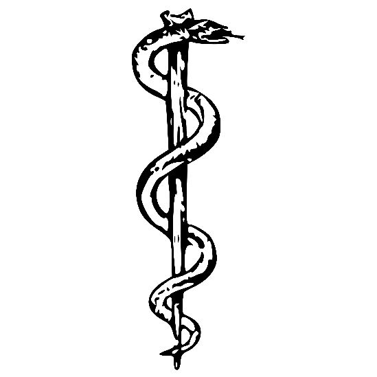 The Rod of Asclepius | GnosticWarrior.com