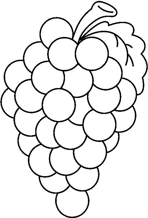 Grapes outline clipart